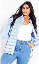 Plus Size Casey Stripe Shirt - blue