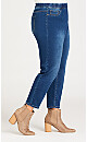 Plus Size Jegging Hi Rise Mid Wash - petite