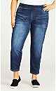 Plus Size Jegging High Rise Mid Wash - petite