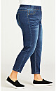 Plus Size Jegging High Rise Mid Wash - petite