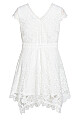 Wild Lace Dress - ivory