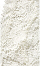 Wild Lace Dress - ivory