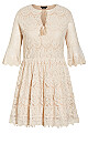 Lace Flirt Dress - buttermilk