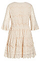 Lace Flirt Dress - buttermilk