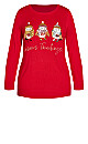 Robin Sweater - red