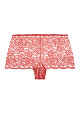 Plus Size Lace Cheeky Brief - rose