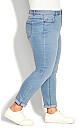 Plus Size Stretch Girlfriend Light Wash Jean Average Length