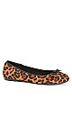 Plus Size Wide Fit Leopard Ballet Flat - Yellow