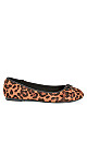 Plus Size Wide Fit Leopard Ballet Flat - Yellow