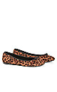 Plus Size Wide Fit Leopard Ballet Flat - Yellow