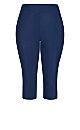 Plus Size Swim Capri - navy