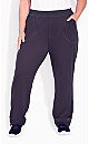 Plus Size Mesh Inset Jogger - eggplant