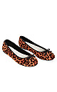 Leopard Ballet Shoe- Animal