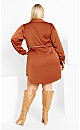 Women's Plus Size Faye Dress - toffee