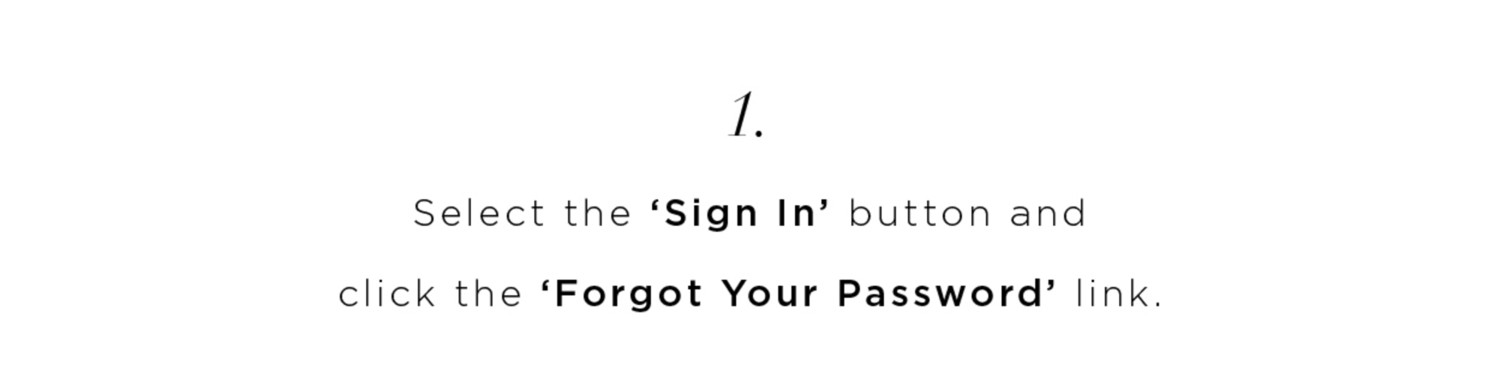 Select the Sign In BUtton and Click 'Forget Your Password' link